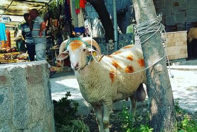 A ESTAMBUL a través de ORHAN PAMUK A ESTAMBUL a través de ORHAN PAMUK