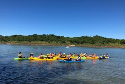  Kayak & Forest Experience (On private)