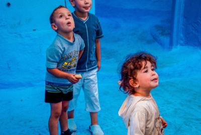 Visita guiada de Chefchaouen desde Fez con acceso sin colas Visita guiada de Chefchaouen desde Fez con acceso sin colas