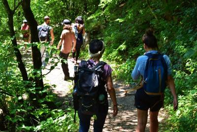 Caminata fría a la tierra de enanos y elfos