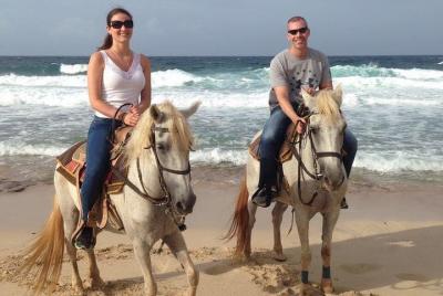 Aruba 3 hrs Cabalgata para jinetes avanzados