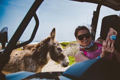  Tour de medio día en la ciudad de Sunrise de Aruba