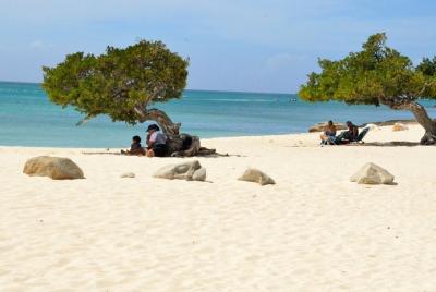 Recorrido privado en monovolumen con aire acondicionado por lo más destacado de Aruba
