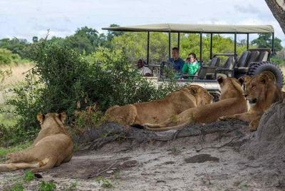 Excursión de un día al Parque Nacional Chobe e Isla Impalila desde las Cataratas Victoria