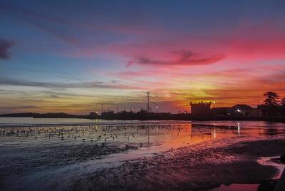 Tour de un día por la ciudad de Essaouira
