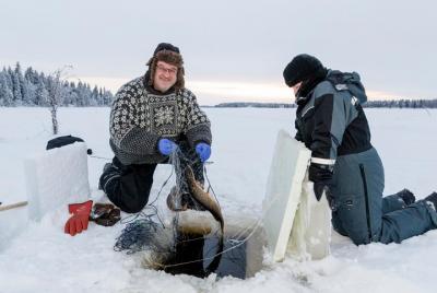 Pesca en hielo en moto de nieve desde Levi Pesca en hielo en moto de nieve desde Levi