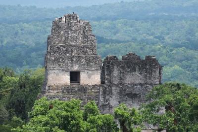 Aventura Maya Tikal - Tour de 1 día Aventura Maya Tikal - Tour de 1 día