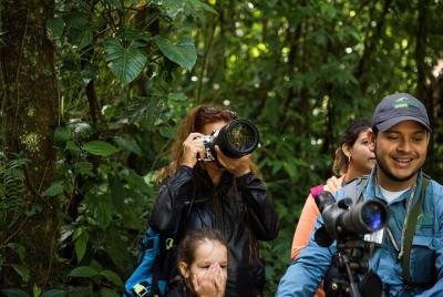 Experiencia de observación de aves Cockscomb Jaguar Reserve Experiencia de observación de aves Cockscomb Jaguar Reserve