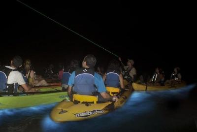 Aventura en kayak bioluminiscente de otro mundo Aventura en kayak bioluminiscente de otro mundo