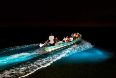 Tour de bioluminiscencia y crucero por el río Sunset Tour de bioluminiscencia y crucero por el río Sunset