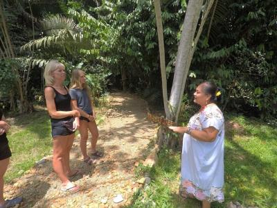 Experiencia maya del jardín herbario Experiencia maya del jardín herbario