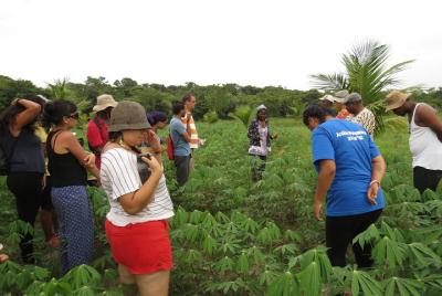 Tour Granja Garifuna Yuca Tour Granja Garifuna Yuca