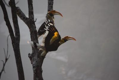 Tour por la ciudad de Thimphu