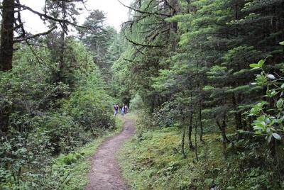 Tour por el oeste de Bután