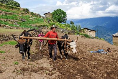 Experimente el tour privado rural de Bután