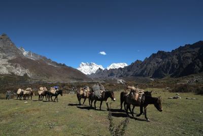 Maravillas de Bután con 3 días de caminata por la naturaleza de Gangtey