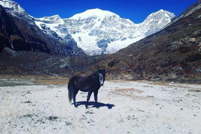 Bután occidental con Lekshey