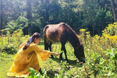 7 días tierra oculta de Bután