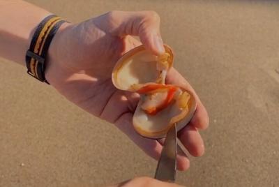 Degustación de ostras con pescador local