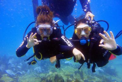 Experiencia de buceo en Arraial do Cabo - El Caribe brasileño Experiencia de buceo en Arraial do Cabo - El Caribe brasileño