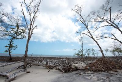 Tour privado en buggy a Mangue Seco