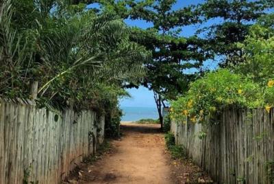 City Tour a pie en Cabrália y Santo André por #PortoTodoDia City Tour a pie en Cabrália y Santo André por #PortoTodoDia