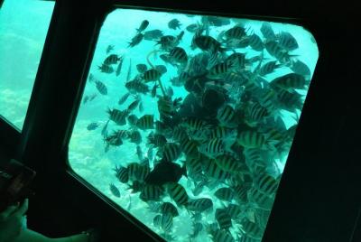 Tour submarino semi submarino