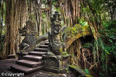 Tour privado de Ubud Tour privado de Ubud