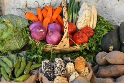 Cañón de la Cantera + Tour por el campo, + degustación de comida