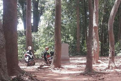 Templos: medio día en scooter