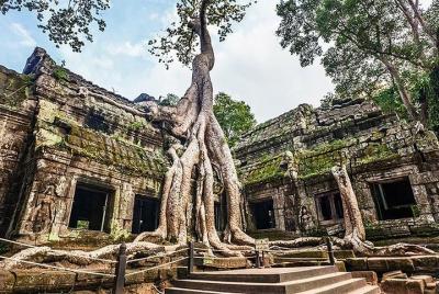 Excursión de día completo a Angkor, Siem Reap: Circuito Pequeño y