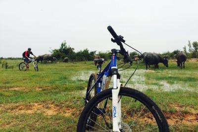 Tour de medio día en bicicleta por el campo, Siem Reap Tours priv