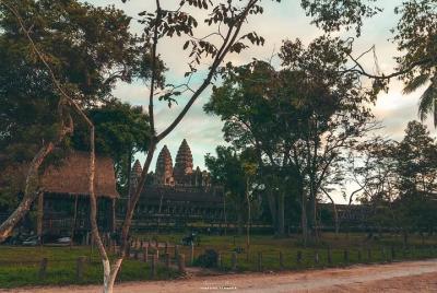 Tour, guia y transporte