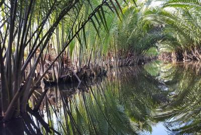 Kampot Kayaking Tour