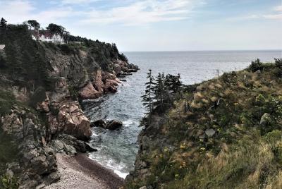 Excursión en crucero compartido - 