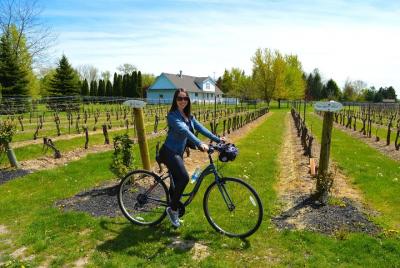 Recorrido en bicicleta por Niagara-on-the-Lake con cata de vinos y picnic opcional para el almuerzo Recorrido en bicicleta por Niagara-on-the-Lake con cata de vinos y picnic opcional para el almuerzo