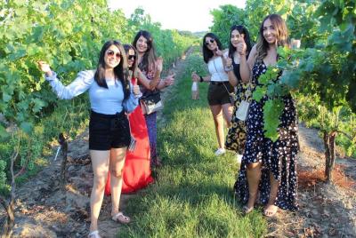 Aléjese de las multitudes: SUV premium privado y seguro, Wine Tour Niagara Aléjese de las multitudes: SUV premium privado y seguro, Wine Tour Niagara