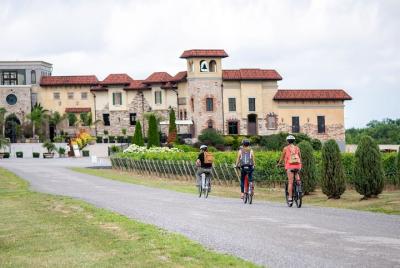 Tour guiado del vino en bicicleta eléctrica en Niagara-on-the-Lake, St David Tour guiado del vino en bicicleta eléctrica en Niagara-on-the-Lake, St David's Bench