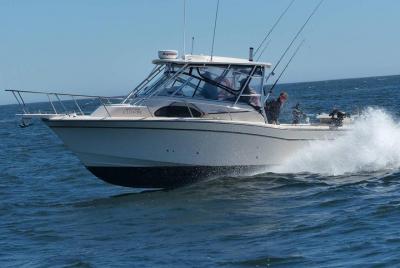 Spring Season Sport Fishing Adventure Charter para pesca de salmón y pescado de fondo