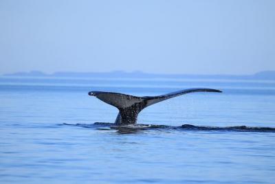 Aventura costera (tarde)