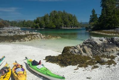 Tour en kayak para grupos pequeños por las islas del océano Pacífico