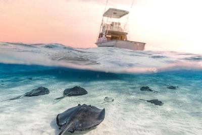 Alquiler de barcos privados, Stingray City, Starfish Point, Coral Gardens y mucho más
