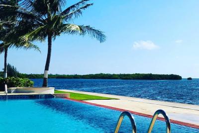 Lecciones de natación para principiantes