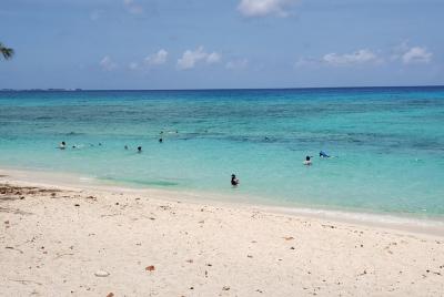 Transporte de ida y vuelta al aeropuerto de Pedalz