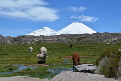 arica y parinacota en 2 dias 1 noche