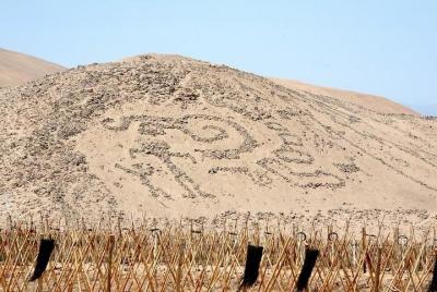 Recorrido por la cuidad privado por Arica