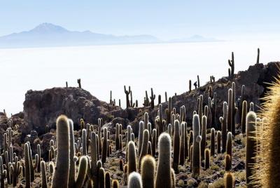 Montañismo y Salar de Uyuni - 5 Días