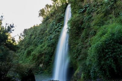 Parque de aventura Chaiguen en Chiloe Parque de aventura Chaiguen en Chiloe