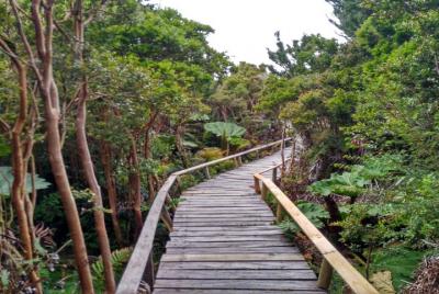 Parque Nacional Chiloe y Bosque Piedra en Chiloe Parque Nacional Chiloe y Bosque Piedra en Chiloe