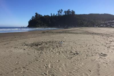 Tour por el Golfo de Arauco y Lebu Tour por el Golfo de Arauco y Lebu